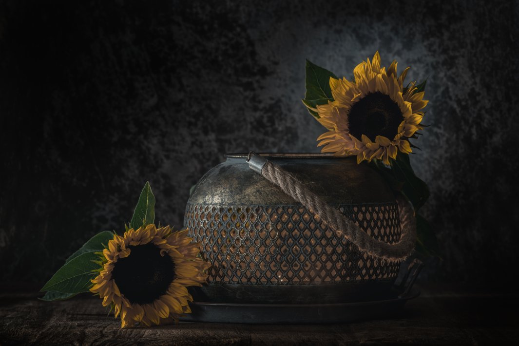 still-life-sunflowers.jpg