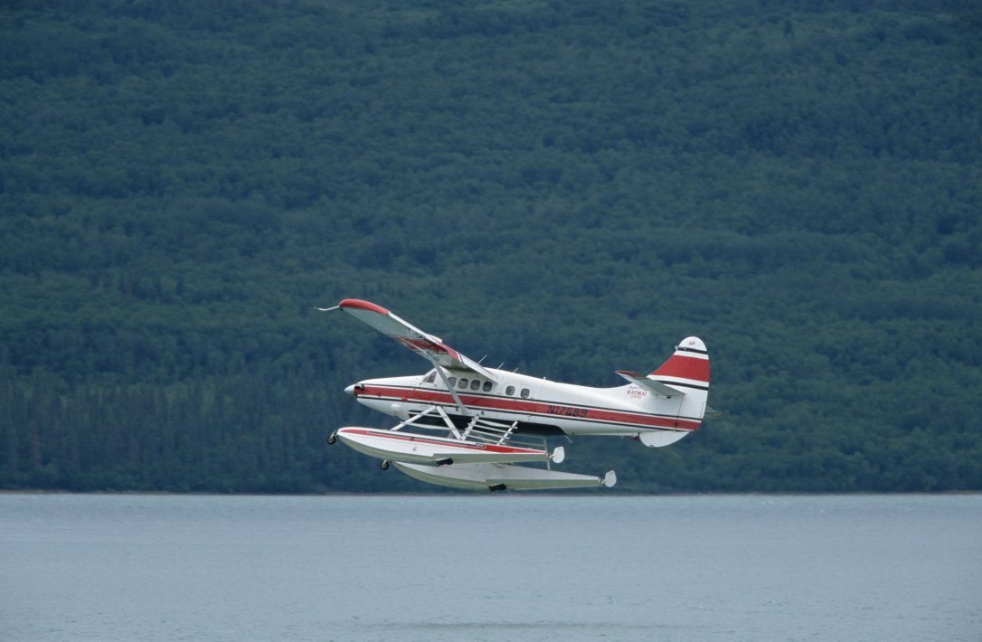 NIS_MP_10008073