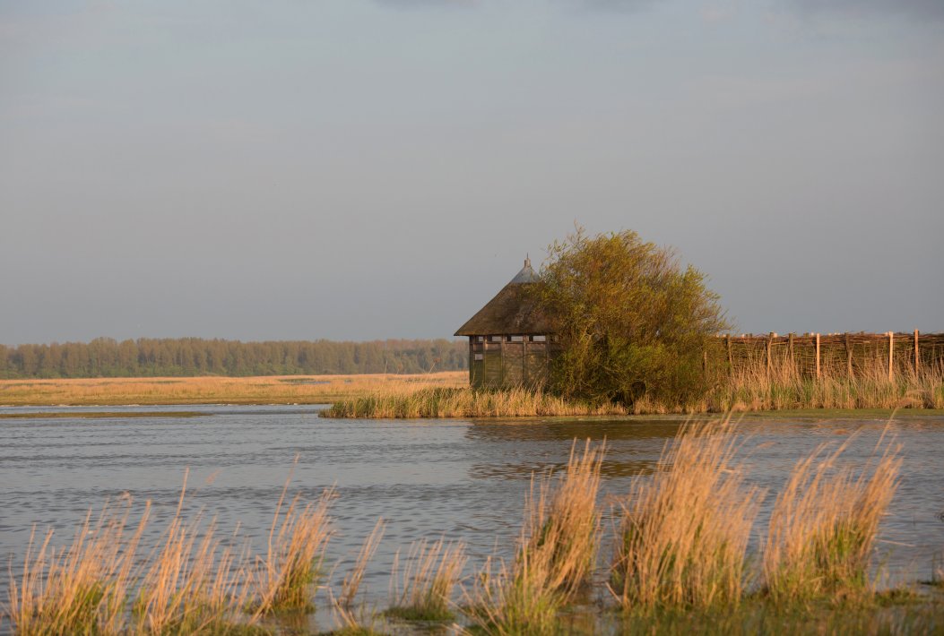 NIS_00066960