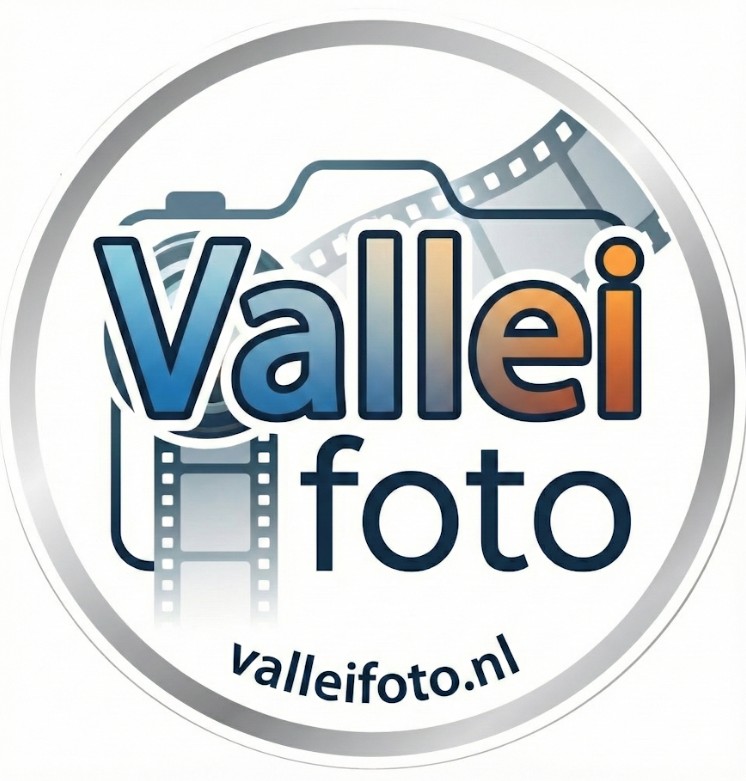 valleilogo