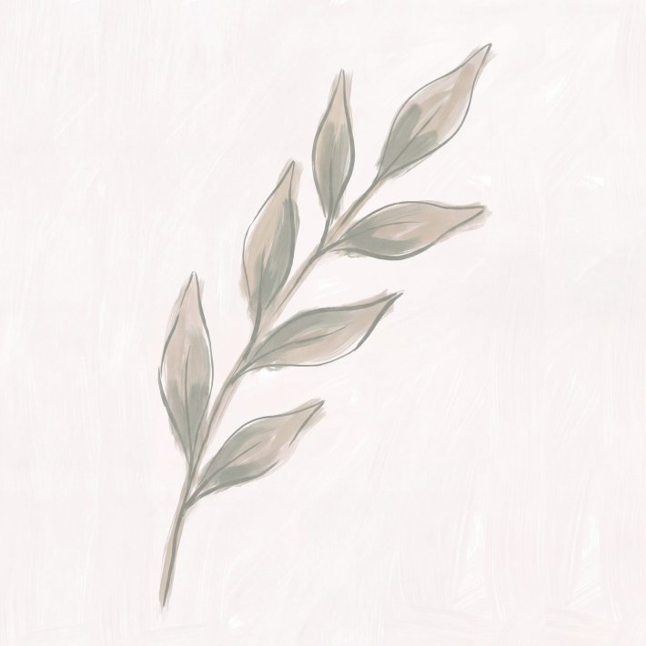 4166-japandi-Botanisch Silhouet-web-vierkant-001