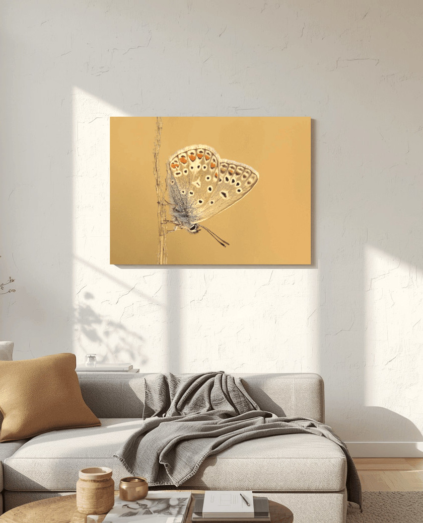 Schilderij van een beige/gele vlinder in een woonkamer