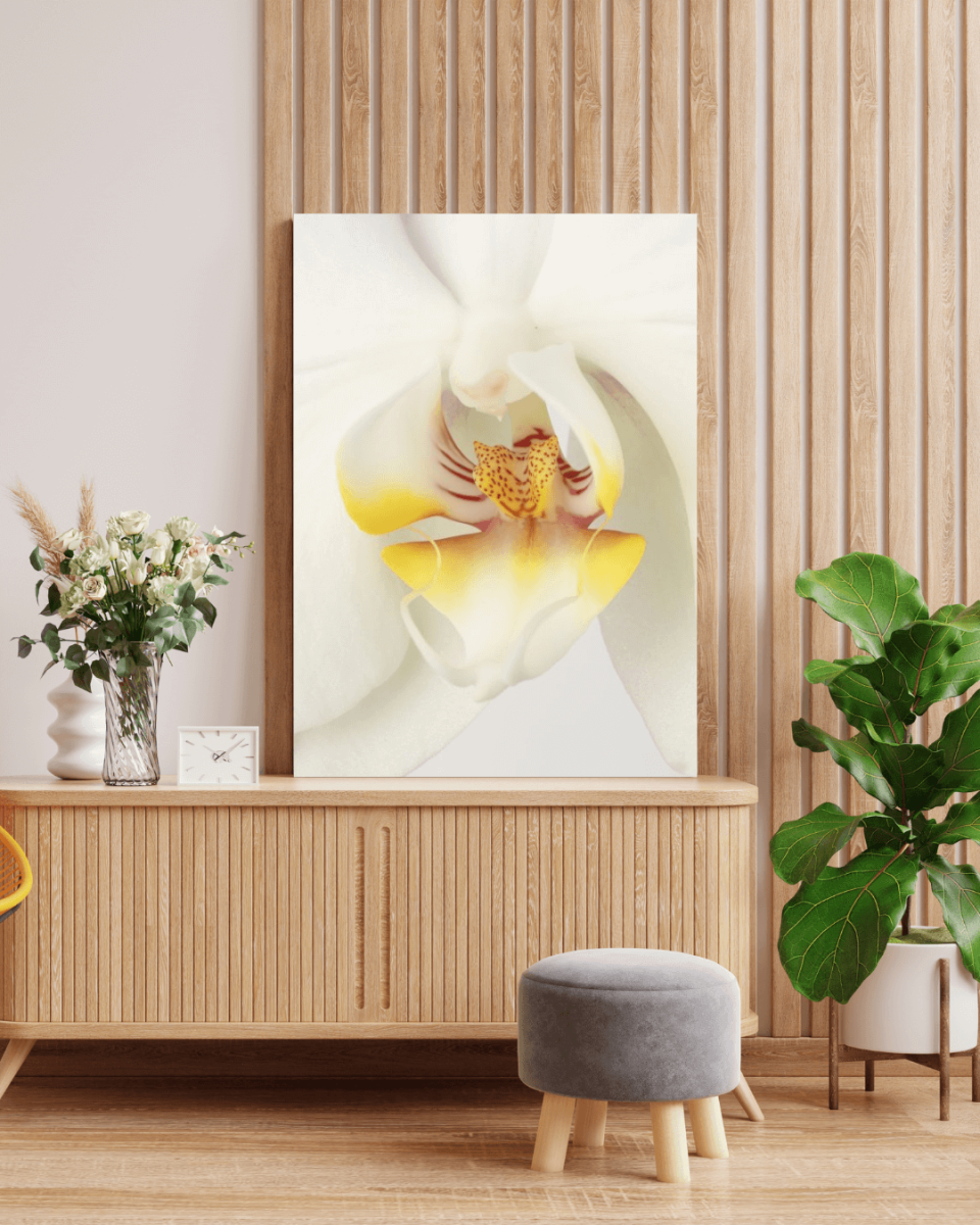Witte orchidee schilderij