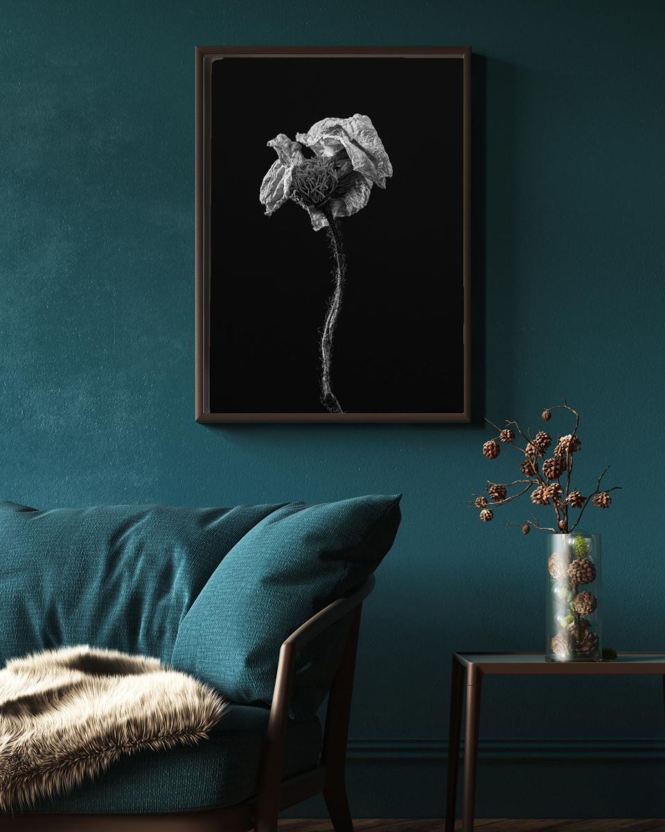 drijvend Grazen Portaal Fotografie als kunst in huis: perfecte kwaliteit | WATTAWALL